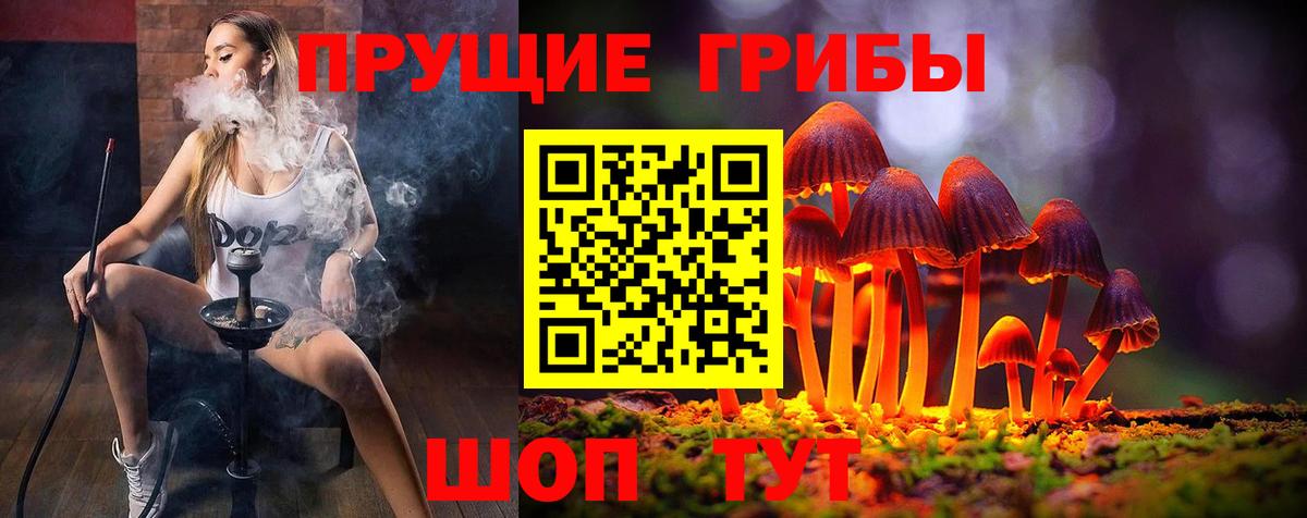 Псилоцибиновые грибы Psilocybe Ульяновск